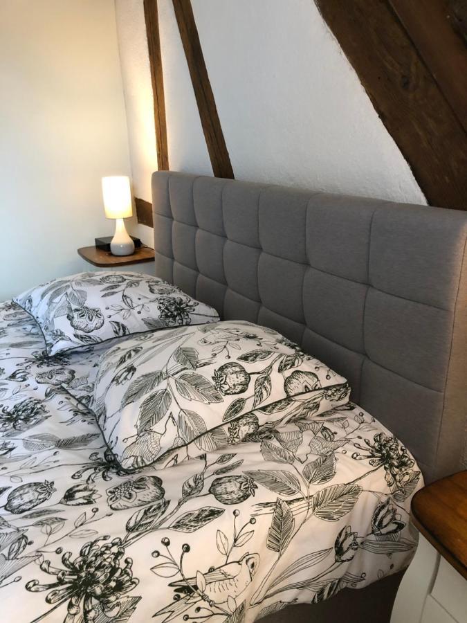 Colombages De La Lauch Appartement Colmar Buitenkant foto