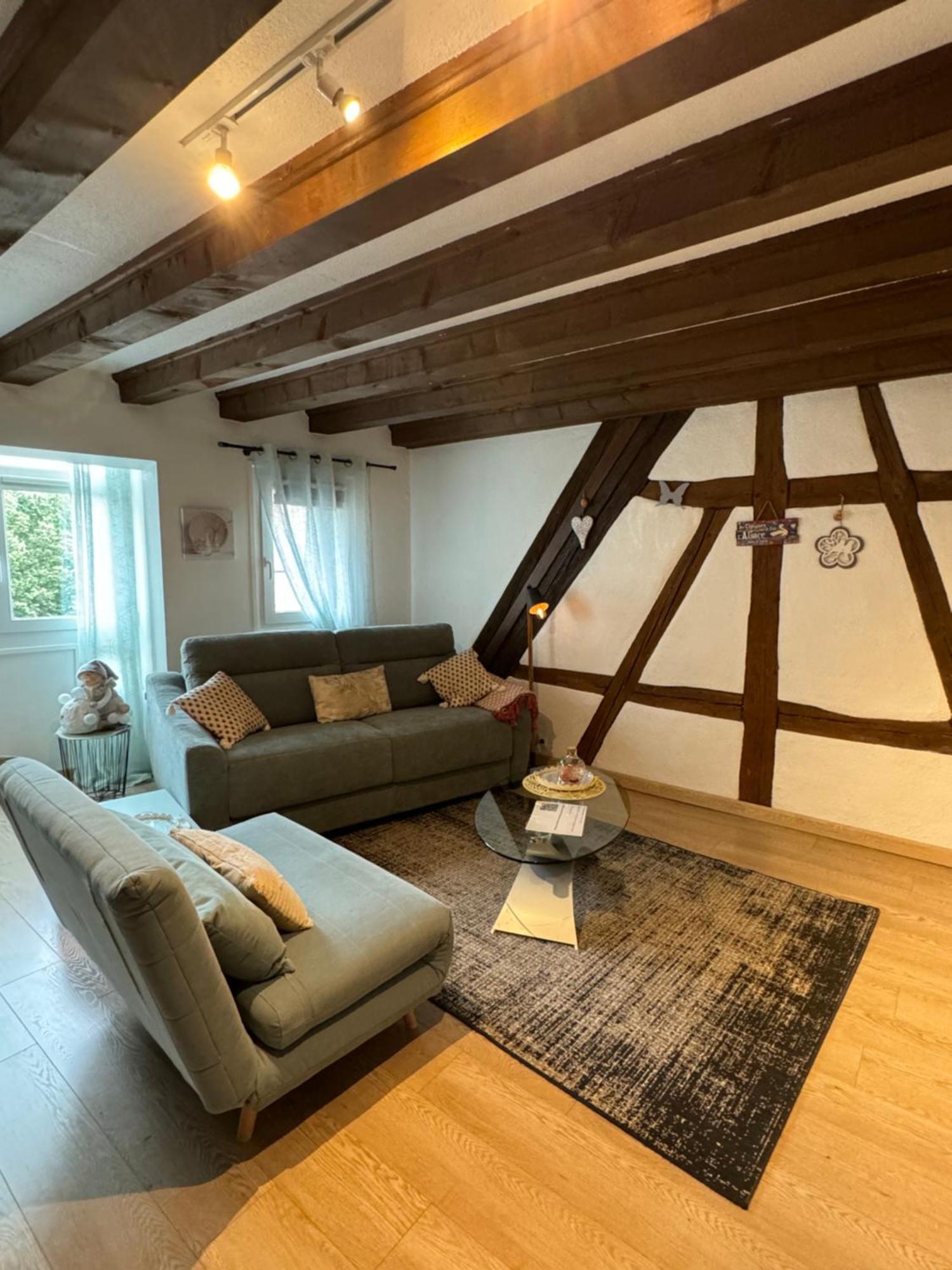 Colombages De La Lauch Appartement Colmar Buitenkant foto
