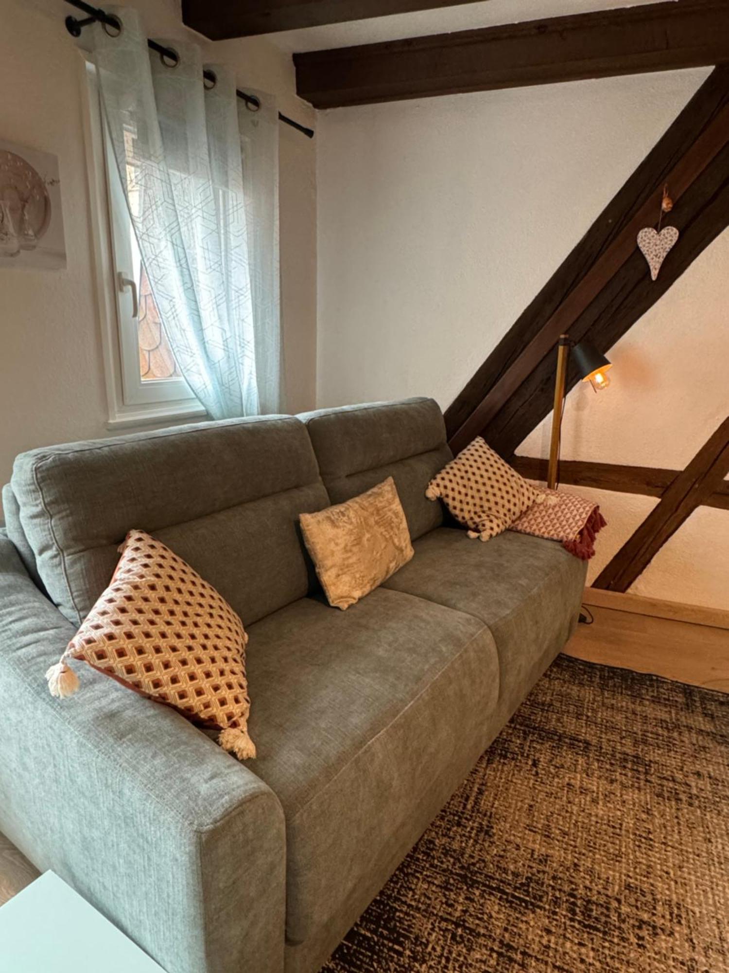 Colombages De La Lauch Appartement Colmar Buitenkant foto