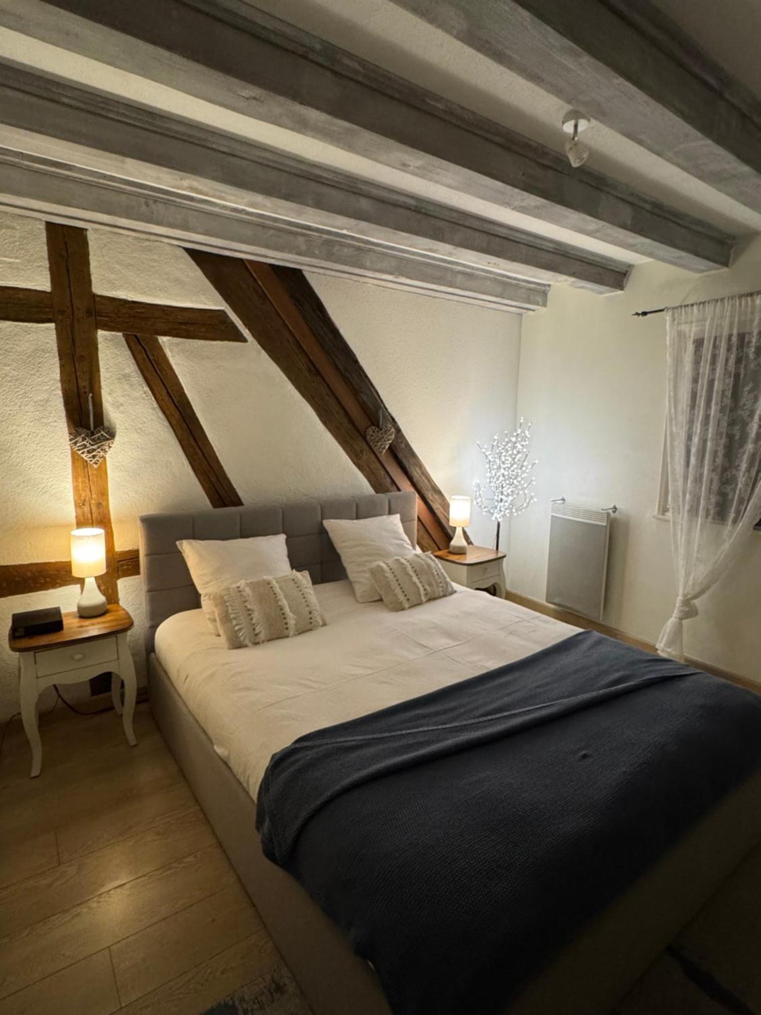 Colombages De La Lauch Appartement Colmar Buitenkant foto